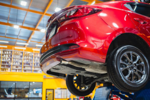 NEW YEAR CAMPAIGN 2026