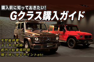 維持費から故障リスクまで！？完全購入ガイド【G350d】