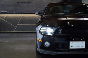 アメ車アレルギーに効くクスリを作りたい