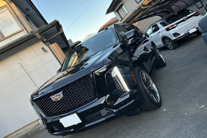 17y フォルクスワーゲン ゴルフR 4MOTION ラビスブル...