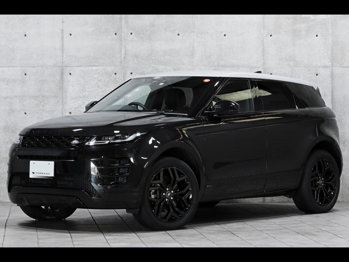 Volkswagen ｜TiguanR｜ブラックアウト パーツラ...