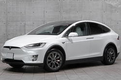 2020 テスラ モデルＸ P100D
