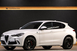 2019 アルファ ロメオ ステルヴィオ 2.9 V6ビターボ クアドリフォリオ