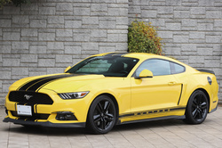 2015 フォード マスタング 50イヤーズエディション