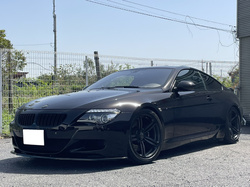 2009 BMW M6 M6