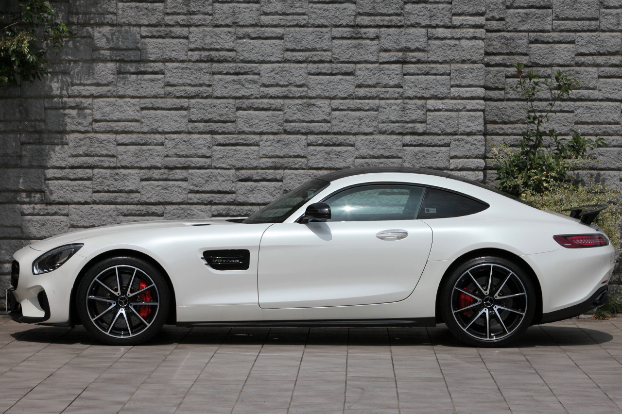 BSC AMG GT-S Carbonnerre 2台セット BSC AMG GT-S Carbonnerre 2台