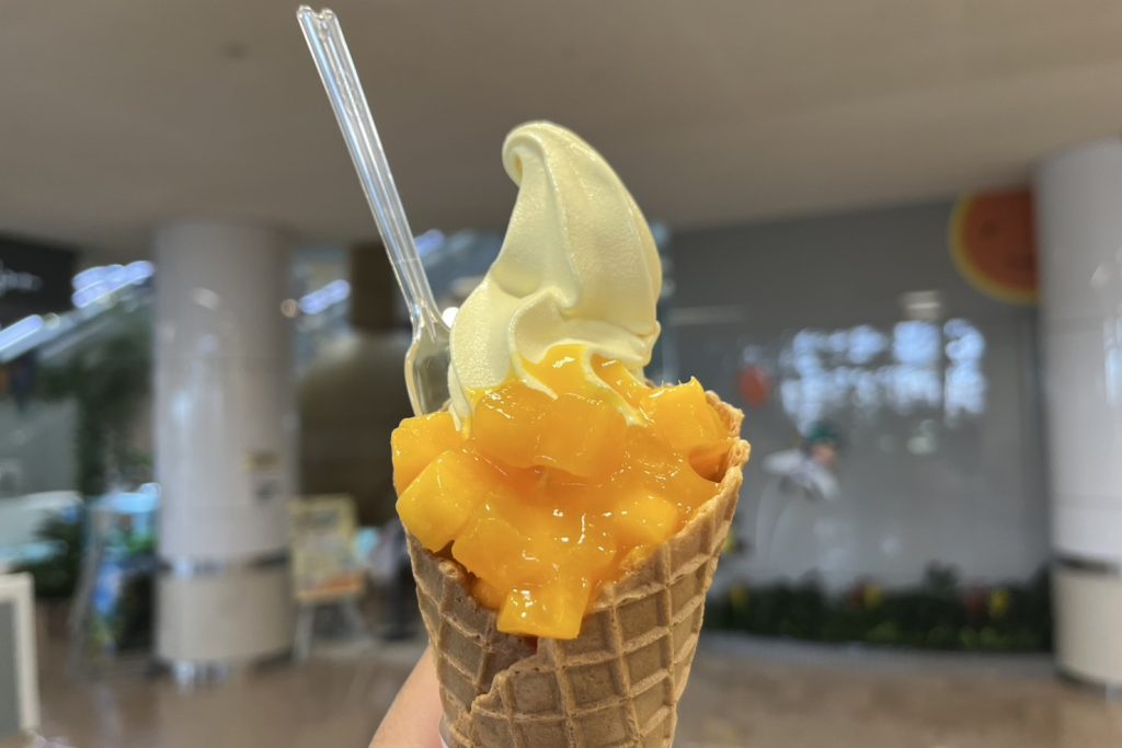 納車旅